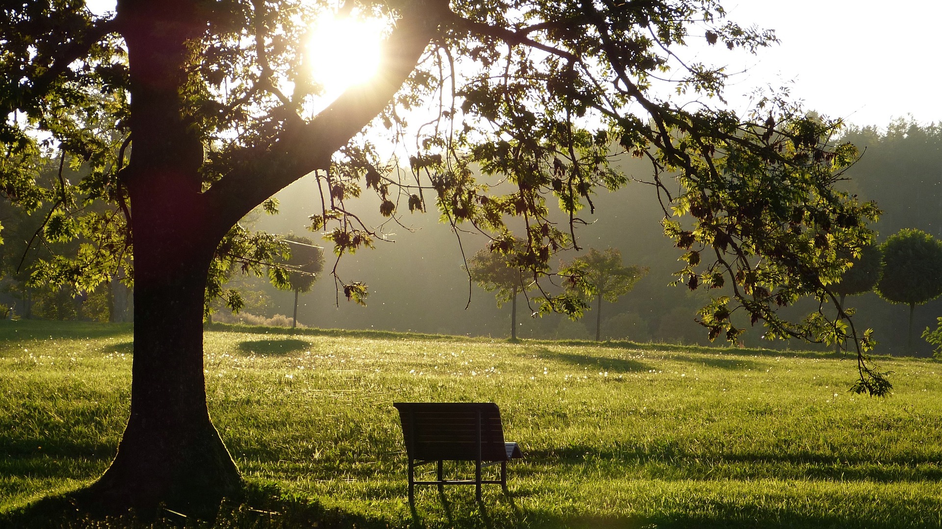 Landschaft_Park
